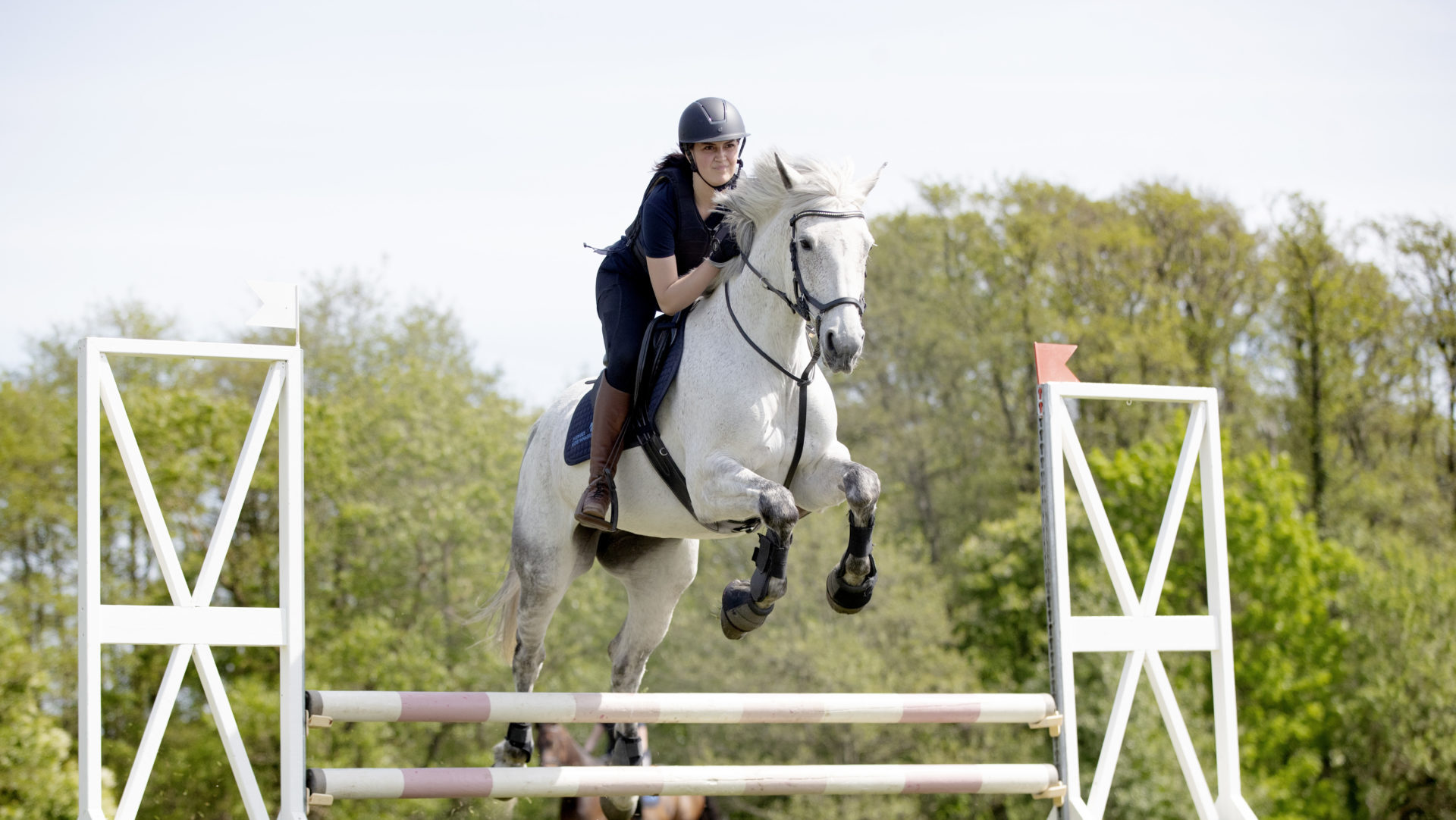 En vit häst med ryttare som hoppar över ett hinder på en gräsbana. Sveriges Ridgymnasium, Ridgymnasium, Hästgymnasium, SRG Varberg, SRG Svedala, SRG Kungsbacka