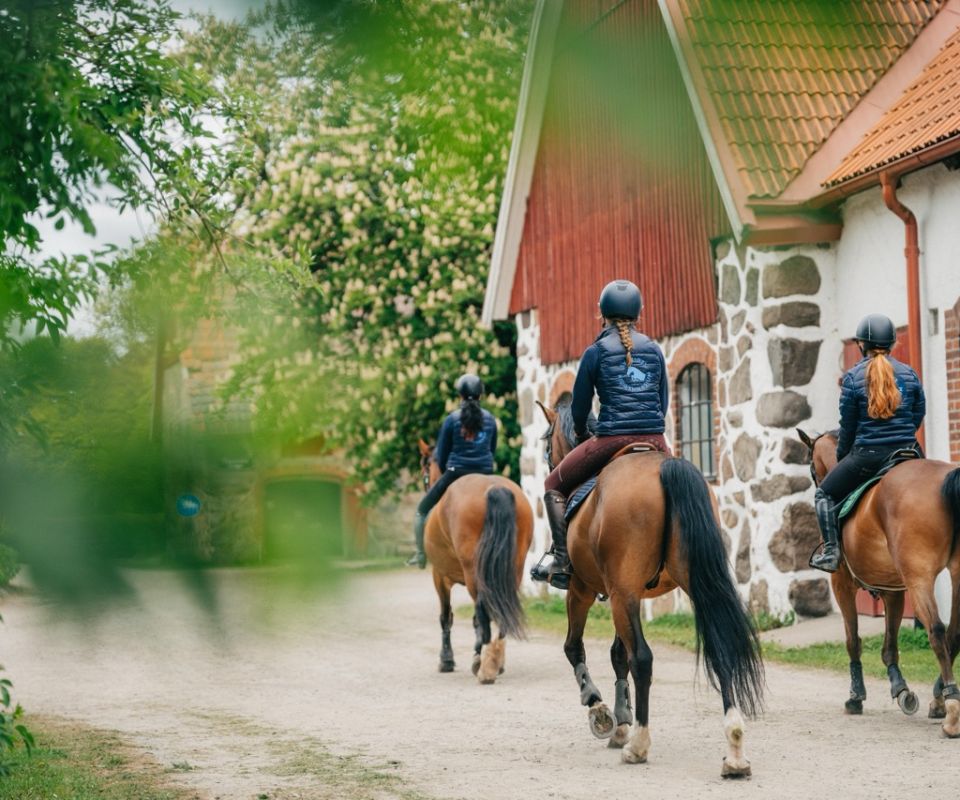 Uteritt på Sveriges Ridgymnasium i Svedala