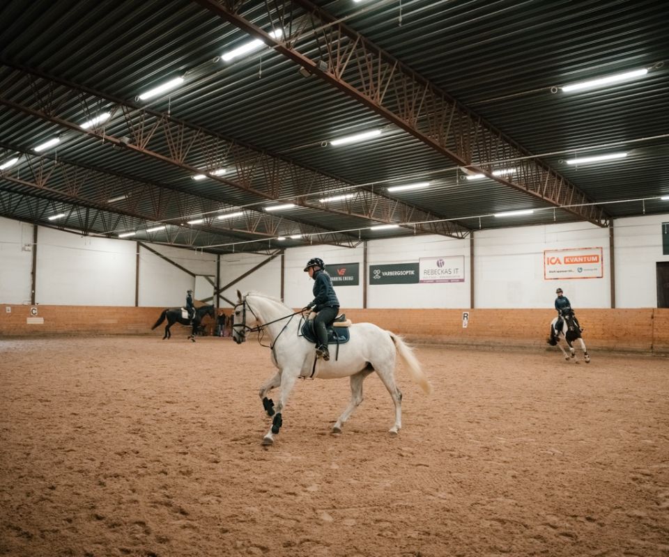 Träning med hästar i ridhuset på Ridgymnasiet i Varberg