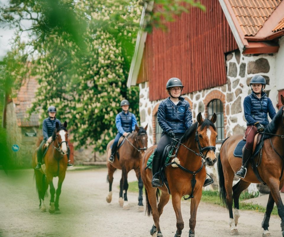 Våra profiler