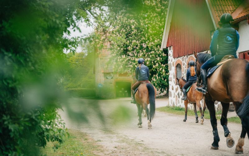 Elever och hästar på Sveriges Ridgymnasium