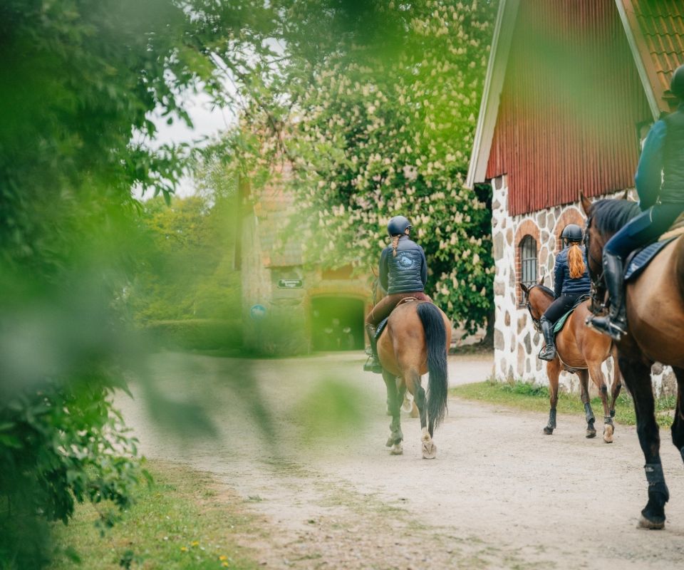 Öppet hus på Sveriges Ridgymnasium
