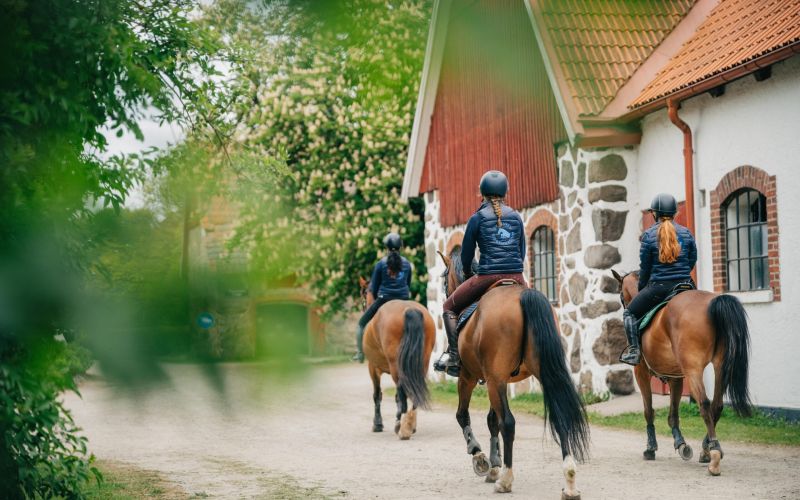 Elever som rider iväg på sina hästar