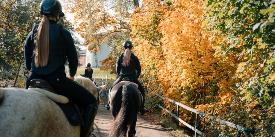 Hästar på uteritt i höstväder i Varberg