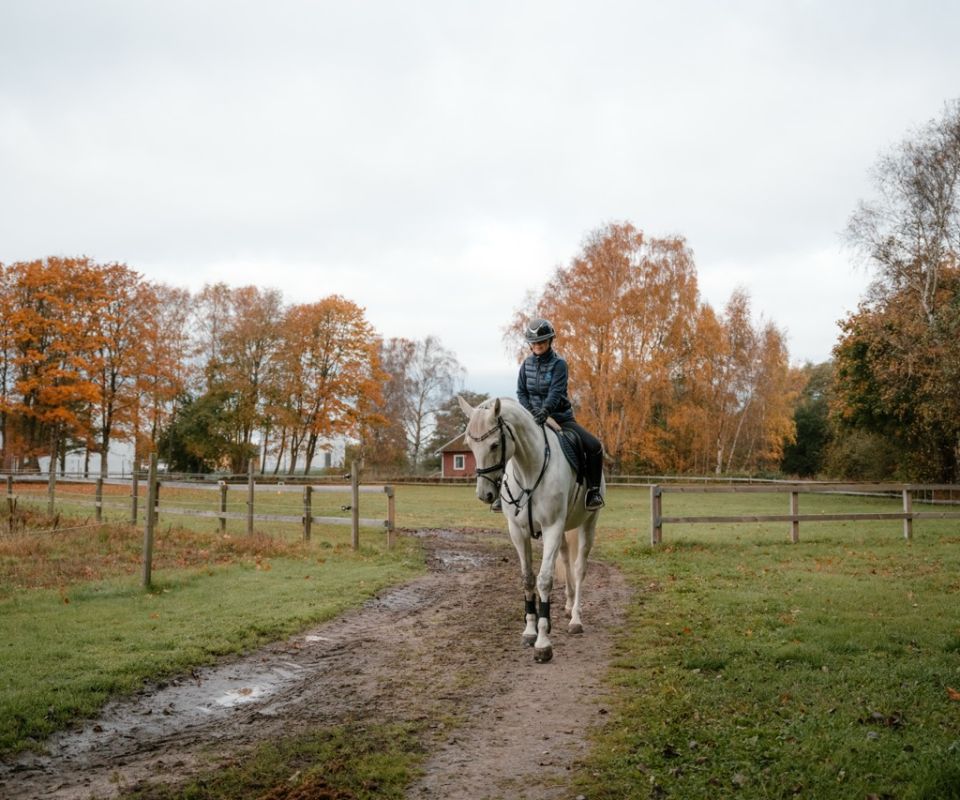 Elev på uteritt i höstväder i Varberg