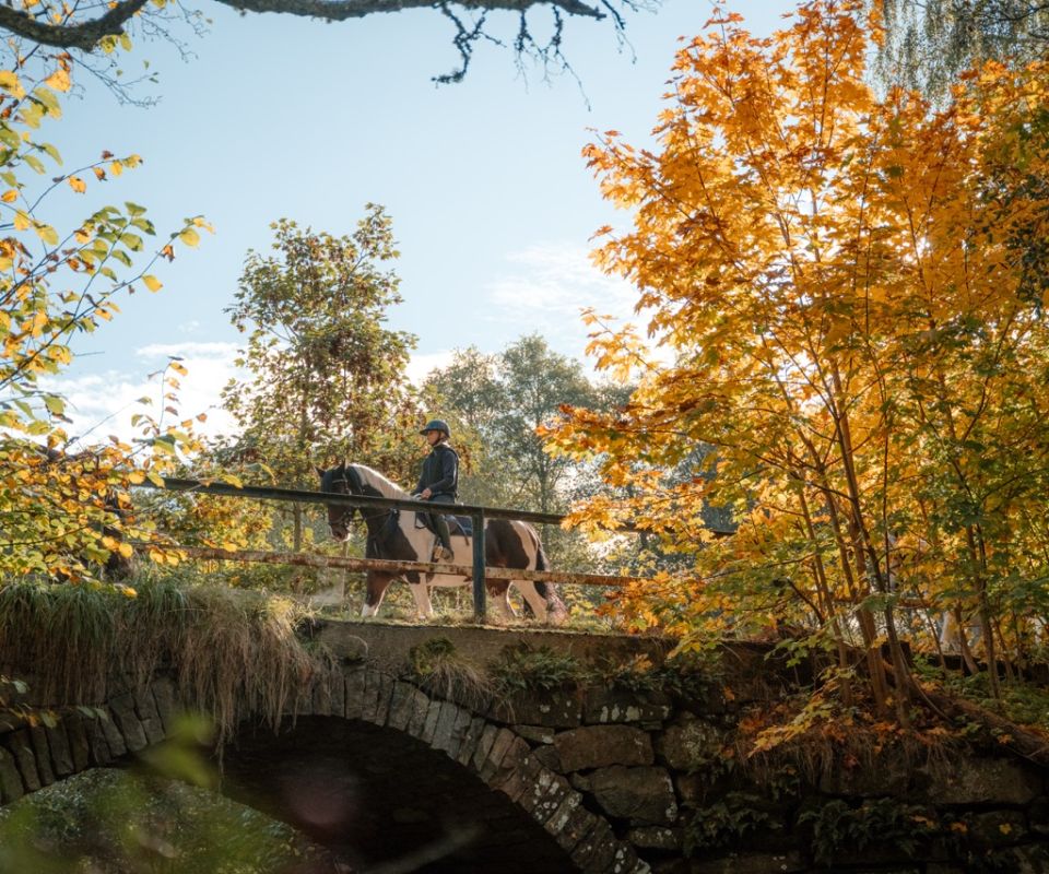 Elever på uteritt över en bro i naturen